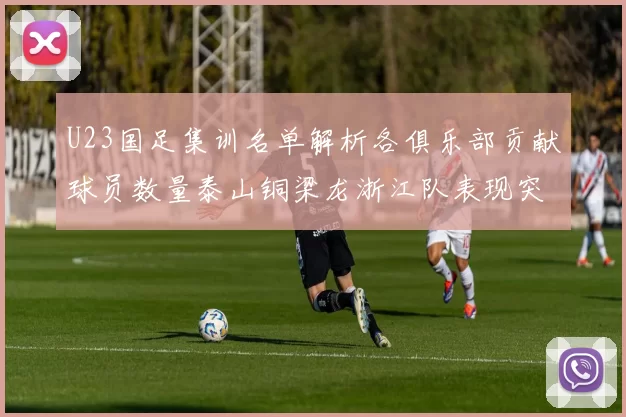 U23国足集训名单解析各俱乐部贡献球员数量泰山铜梁龙浙江队表现突出